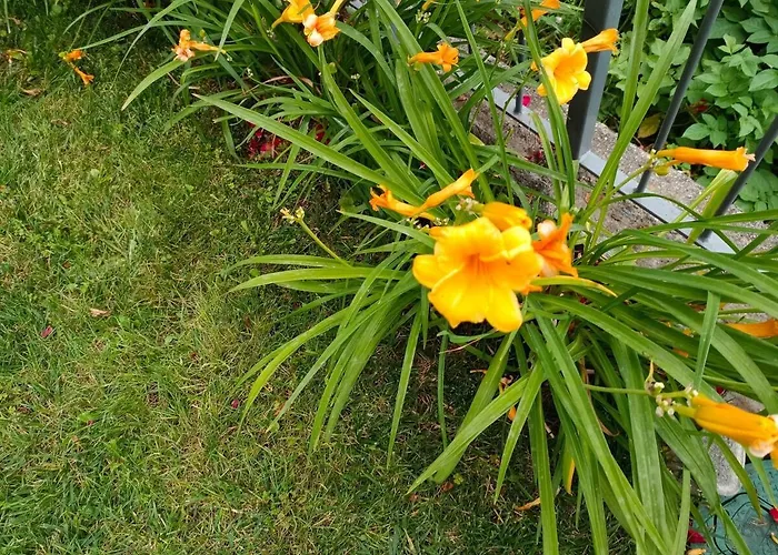 Casa Bella Vista Emma *