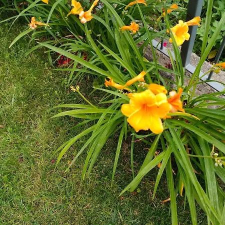 Casa Bella Vista Emma *